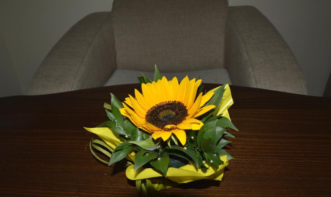Apartments & Studios Mountain Romance Bansko Room photo